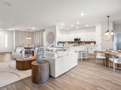 Aviary at Rutland Ranch by Highland Homes of Florida in Parrish - image 18