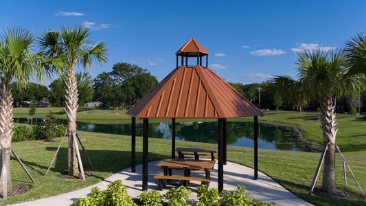 Harmony at Lake Eloise by Casa Fresca Homes in Winter Haven - photo 3 3