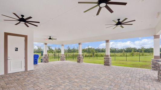 Grasslands West by DRB Homes in Lakeland - image