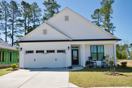 Bristol Bay by Stevens Fine Homes in Lake Waccamaw - image