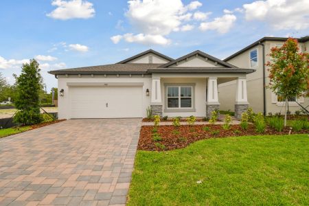 Anderson Snow Estates by M/I Homes in Spring Hill - photo 27 27