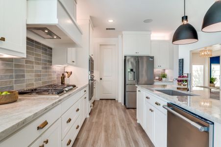 Painted Tree - South by Normandy Homes in McKinney - image 5