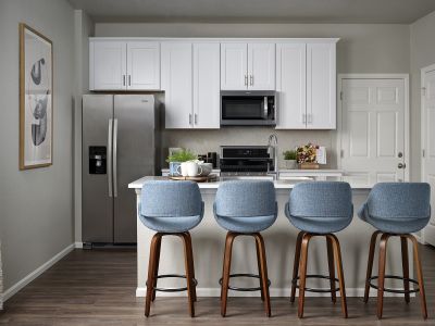 Painted Prairie by Meritage Homes in Aurora - photo 15 15