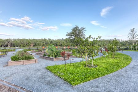 Laureate Park by Dream Finders Homes in Orlando - photo 7 7