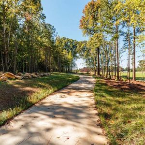 Chatham Park by David Weekley Homes in Pittsboro - photo 23 23