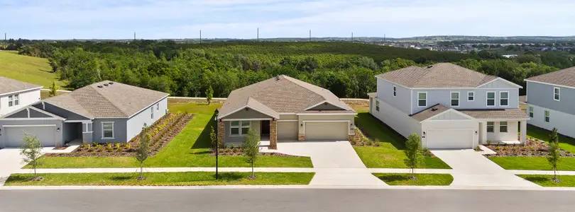 Hidden Ridge: Estate Collection by Lennar in Groveland - image