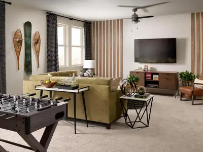 Trailside at Cottonwood Creek by David Weekley Homes in Colorado Springs - image 17