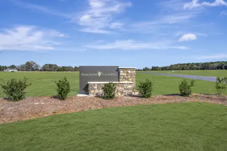 Seagrass Landing by Mattamy Homes in Lillington - image