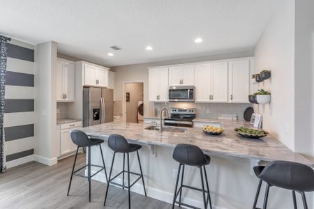 Palms at Windermere by Dream Finders Homes in Windermere - photo 11 11