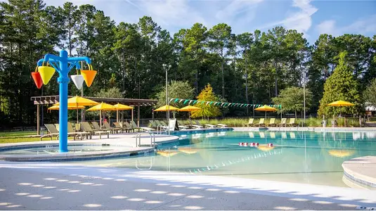 Carnes Crossroads: Arbor Collection by Lennar in Summerville - image 2