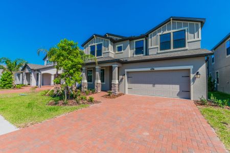 Epperson by M/I Homes in Wesley Chapel - photo 24 24