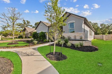 Elkhorn Ridge by Princeton Classic Homes in Fair Oaks Ranch - photo 7 7