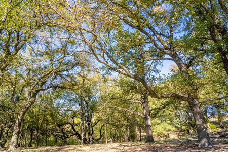 Bella Communities - Master planned community in Fort Worth, TX 7