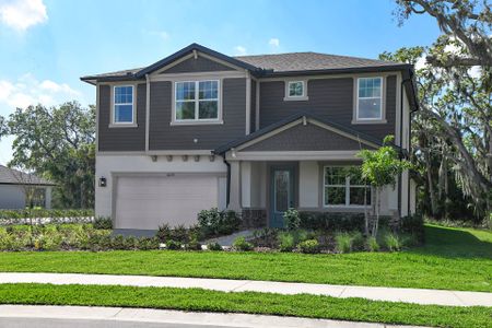 Tamarack at Two Rivers by William Ryan Homes in Zephyrhills - photo 6 6