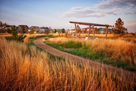 Painted Prairie by Century Communities in Aurora - image 14