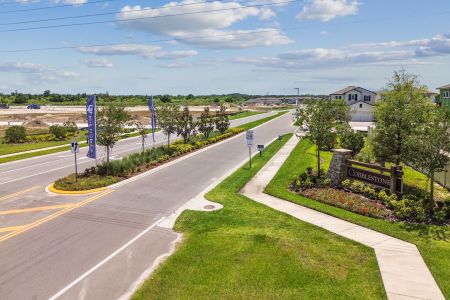 Cobblestone by M/I Homes in Zephyrhills - photo 25 25