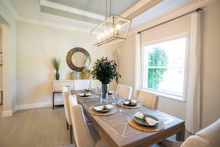 Sorrento & Mount Dora by Maronda Homes in Mount Dora - photo 44 44