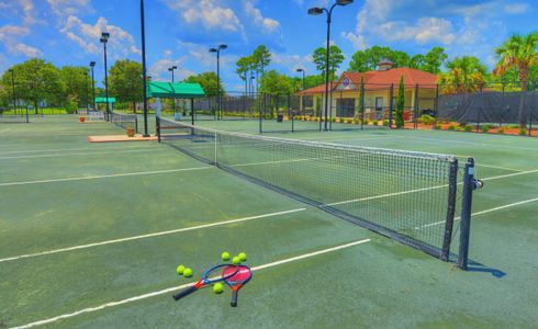 Amelia National by ICI Homes in Fernandina Beach - image