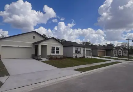 Oakfield Lakes by Starlight Homes in Parrish - image