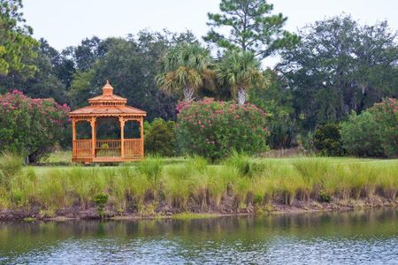 The Sanctuary by Bellagio Custom Homes in Palm Coast - photo 3 3