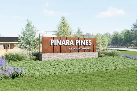 Pinara Pines by Centex in Conroe - image