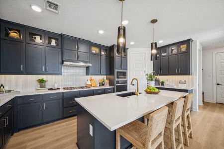 Karis - Cottage Series by David Weekley Homes in Crowley - image 6
