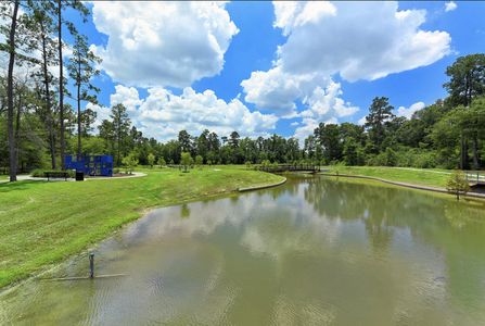 Harper's Preserve - Master planned community in Conroe, TX 14 14