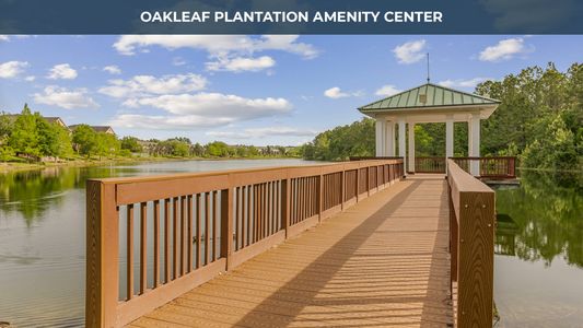 Towering Oaks by D.R. Horton in Orange Park - photo 20 20