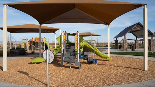 Bella Vista Farms: Discovery IV 3