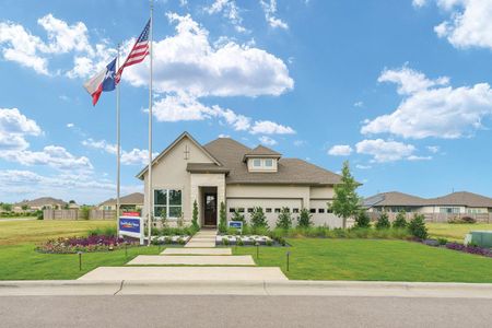 The Colony 45' – Bandera Pass by David Weekley Homes in Bastrop - photo 12 12