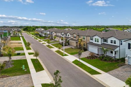 Cobblestone by M/I Homes in Zephyrhills - image 17