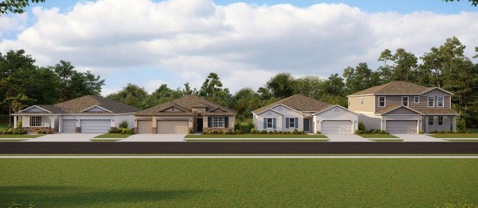 Trinity Lakes: Executive Collection by Lennar in Groveland - photo 0 0