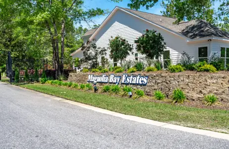 Magnolia Bay Estates by Traton Homes in Freeport - image