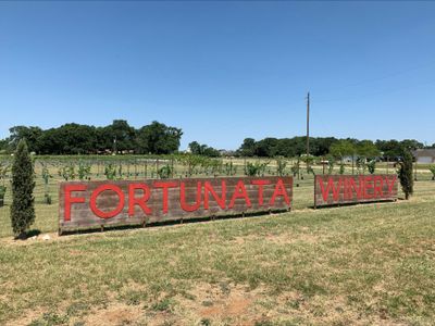 Mobberly Farms by M/I Homes in Pilot Point - image 17