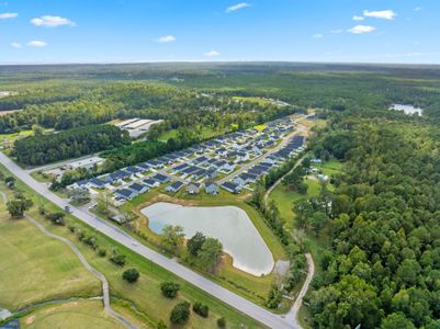 Seaside Palms by Dream Finders Homes in Sunset Beach - image 10