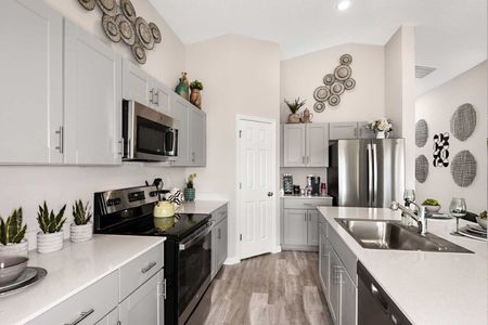 Pasadena Point by Casa Fresca Homes in Wesley Chapel - photo 17 17