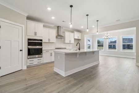 Collins Cove by Great Southern Homes in Chapin - image 9