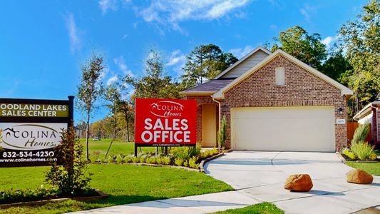 Woodland Lakes by Colina Homes in Huffman - photo 2 2