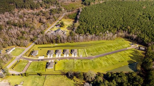 The Timbers by D.R. Horton in Harleyville - image