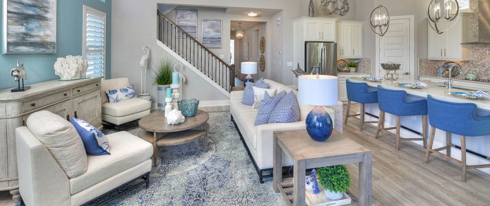 Persimmon Park by ICI Homes in Wesley Chapel - photo 20 20