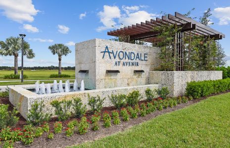 Avondale at Avenir by DiVosta in Palm Beach Gardens - photo 10 10