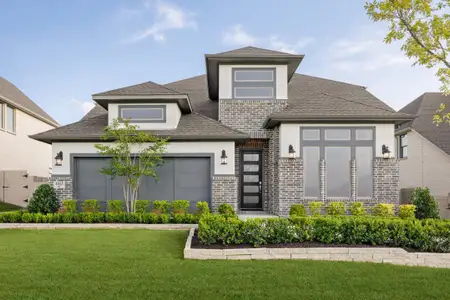 Painted Tree 50' by Coventry Homes in McKinney - image 5