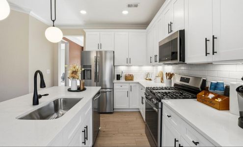 Blythe Mill Townhomes by Eastwood Homes in Waxhaw - image 9
