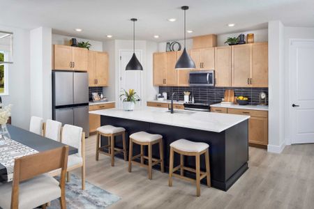 Chapel Crossings - Garden Series by David Weekley Homes in Wesley Chapel - image 8