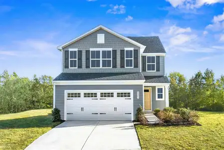 The Grove at Anderson by Ryan Homes in Albemarle - image