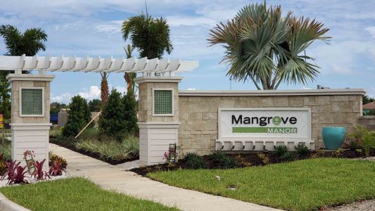 Mangrove Manor by D.R. Horton in Apollo Beach - photo