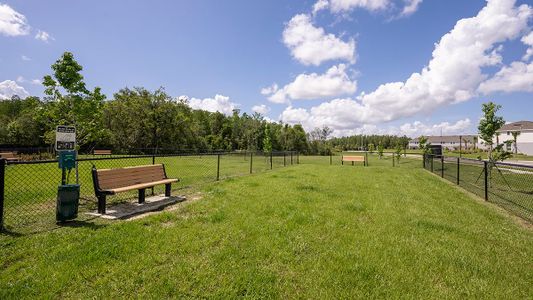 The Towns at Firethorn 29