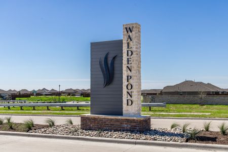 Walden Pond by Mattamy Homes in Forney - photo 0