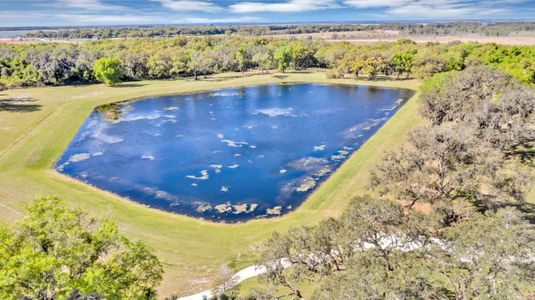 Tohoqua: Estates Collection 60