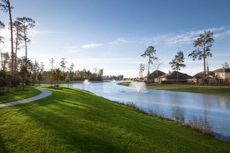 The Meadows at Imperial Oaks - Master planned community in Conroe, TX 11 11